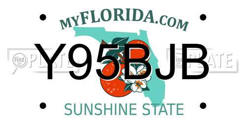 Y95BJB Florida License Plate