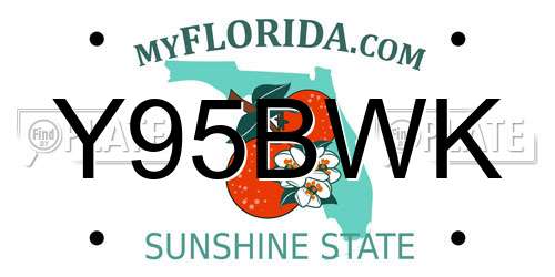 Y95BWK Florida License Plate