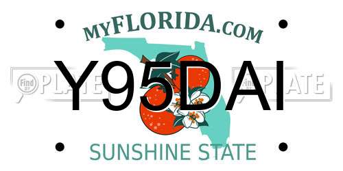 Y95DAI Florida License Plate