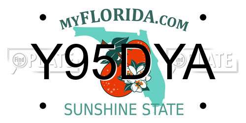 Y95DYA Florida License Plate