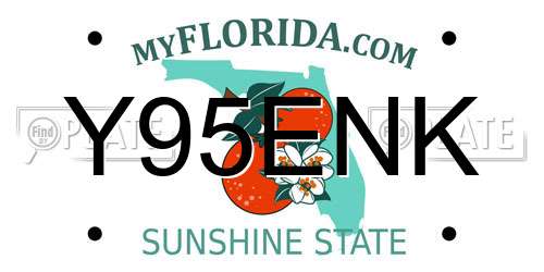 Y95ENK Florida License Plate
