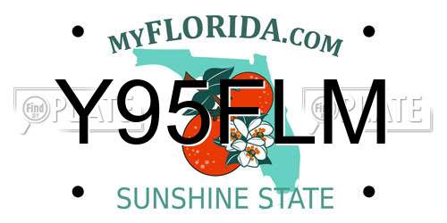 Y95FLM Florida License Plate