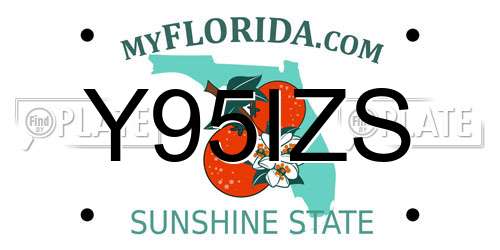 Y95IZS Florida License Plate