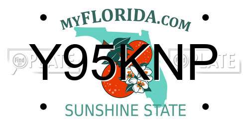 Y95KNP Florida License Plate
