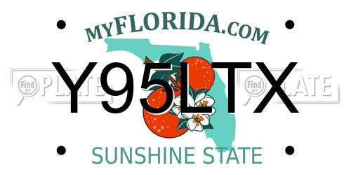 Y95LTX Florida License Plate