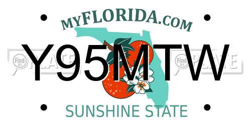 Y95MTW Florida License Plate