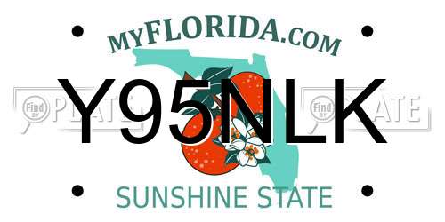 Y95NLK Florida License Plate