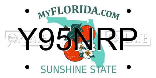 Y95NRP Florida License Plate