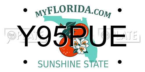 Y95PUE Florida License Plate
