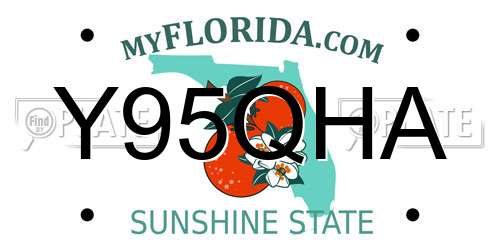 Y95QHA Florida License Plate