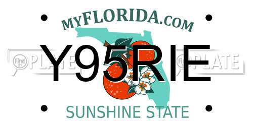 Y95RIE Florida License Plate