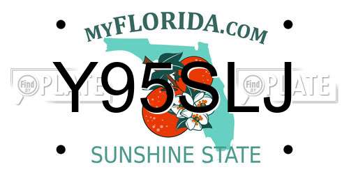 Y95SLJ Florida License Plate