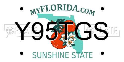 Y95TGS Florida License Plate