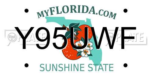 Y95UWF Florida License Plate