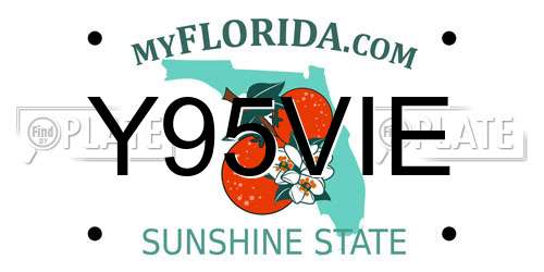 Y95VIE Florida License Plate