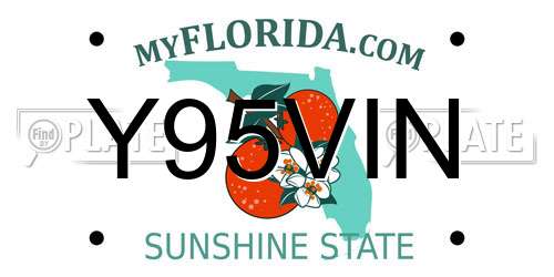 Y95VIN Florida License Plate