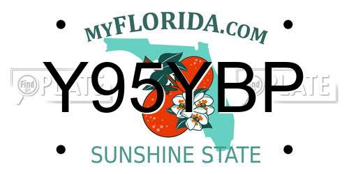 Y95YBP Florida License Plate