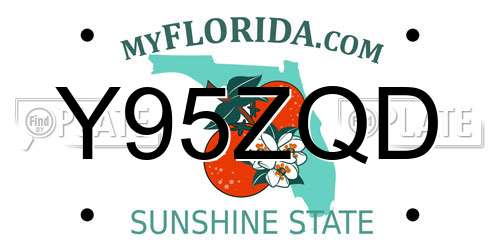 Y95ZQD Florida License Plate