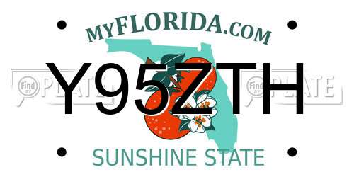 Y95ZTH Florida License Plate
