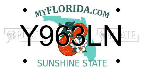 Y963LN Florida License Plate