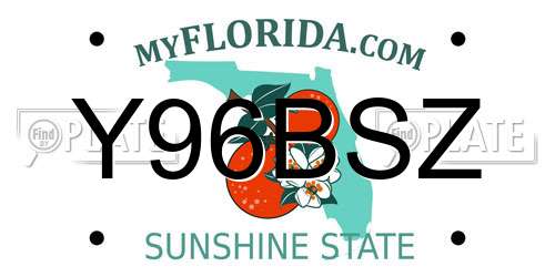 Y96BSZ Florida License Plate