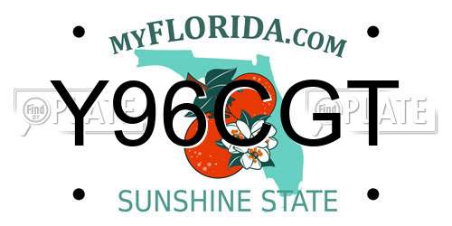 Y96CGT Florida License Plate