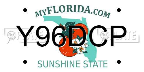 Y96DCP Florida License Plate