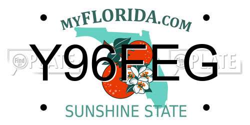 Y96FEG Florida License Plate