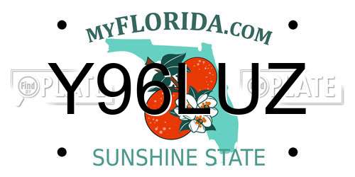 Y96LUZ Florida License Plate
