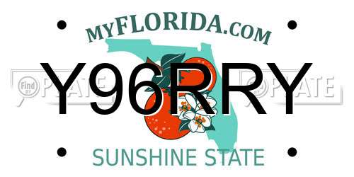Y96RRY Florida License Plate