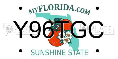 Y96TGC Florida License Plate