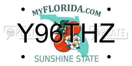 Y96THZ Florida License Plate