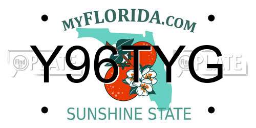 Y96TYG Florida License Plate