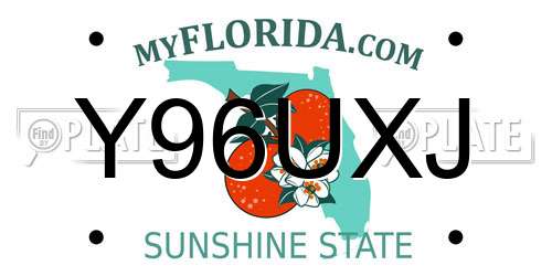 Y96UXJ Florida License Plate