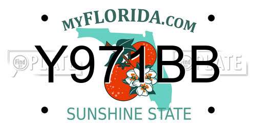 Y971BB Florida License Plate