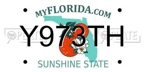 Y973TH Florida License Plate