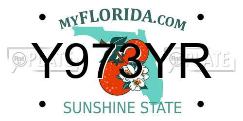 Y973YR Florida License Plate