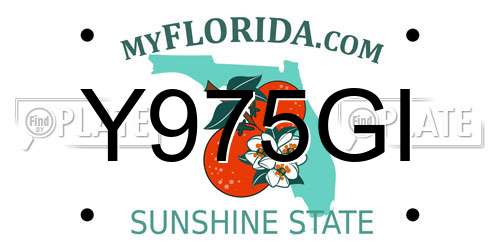 Y975GI Florida License Plate