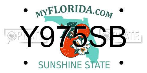 Y975SB Florida License Plate