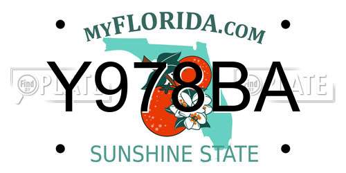 Y978BA Florida License Plate