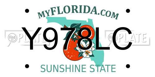 Y978LC Florida License Plate