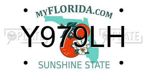 Y979LH Florida License Plate