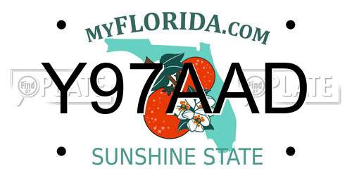 Y97AAD Florida License Plate