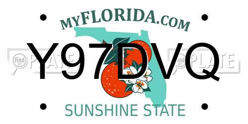 Y97DVQ Florida License Plate