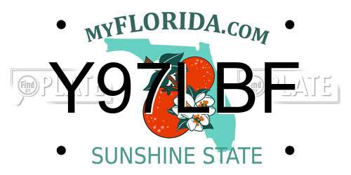 Y97LBF Florida License Plate