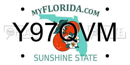 Y97QVM Florida License Plate