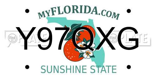 Y97QXG Florida License Plate
