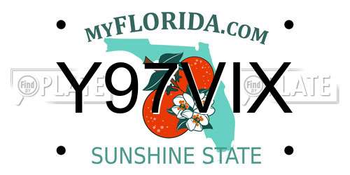 Y97VIX Florida License Plate
