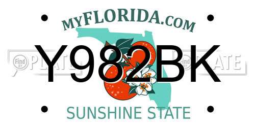 Y982BK Florida License Plate