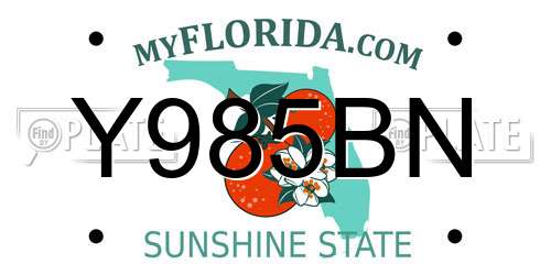 Y985BN Florida License Plate